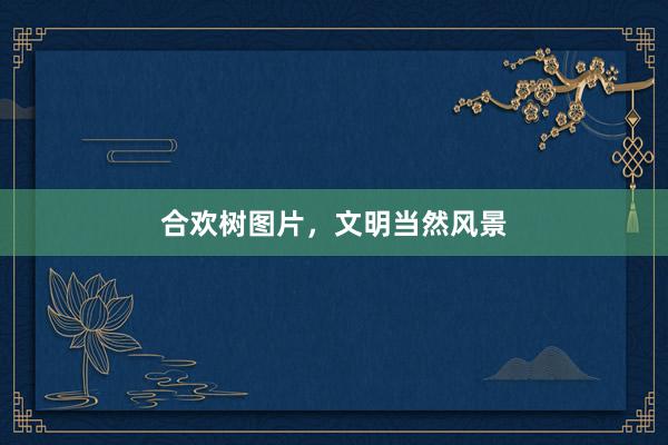 合欢树图片,文明当然风景